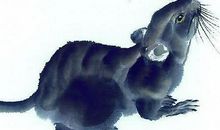 这3大属相，未来45天要走大财运，财丰利达，富到流油！