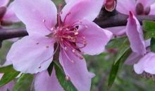 11月开始正财偏财滚滚，成功在望的生肖，将来出人头地指日可待