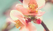 11月6号起成为财富宠儿的生肖，红票子不断，添福添喜又添财