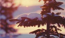 2019年小雪前一天入宅乔迁好吗,关于搬家的风水事项解析！(图文)