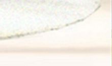 属牛和属鼠婚姻配对