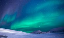 最有头脑的3生肖，下周7天内运势逆转，财源滔滔不绝，家昌财足！