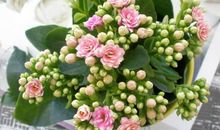 十二生肖中，越是生气越是沉默，不理不睬不闹的三大生肖