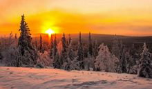 11月初好运蹭蹭涨，财富哗哗来，事业三级跳的三生肖