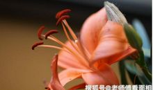 未来10天，财运大旺，喜事接二连三，走上发财路的三生肖