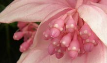 11月3生肖时来运转，财运一飞冲天，势不可挡，富贵难逃