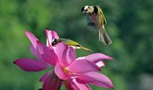 存款飞涨的三属相，10月过完，财运成倍涨，财从天降