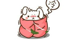 一到冬天就狂吃长肉，美食比身材重要的星座