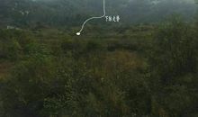 原创 河南风水宝地殿上贵人，风水大师王君植带郑州风水培训班弟子寻龙点穴实拍