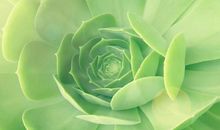 谁嫁谁享福的3个生肖男，会洗衣服，会做饭，能把老婆宠上天