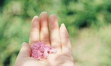 这些星座很有耐心，从不和别人急眼，所以人缘好