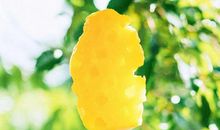 未来五天感情会出现波折的星座，但十有八九都能熬过去