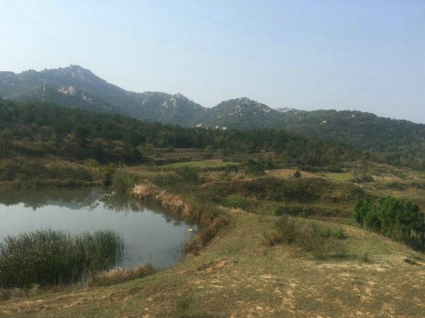 原创 河南风水宝地殿上贵人，风水大师王君植带郑州风水培训班弟子寻龙点穴实拍 3