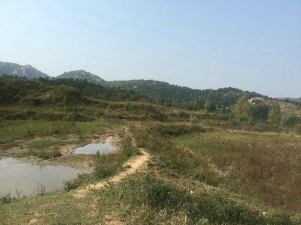 原创 河南风水宝地殿上贵人，风水大师王君植带郑州风水培训班弟子寻龙点穴实拍 4