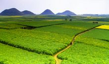 一夜之间变“富翁”！十一月起，财富找上门，家财翻番涨的3属相