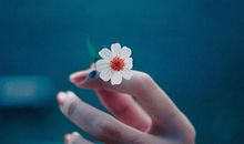 感天动地，这些生肖暗恋里默默付出不求结果