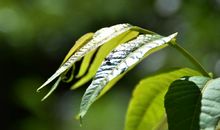 10月22号起事业大旺，财顺喜事临，日子富足，财运上上签的四属相