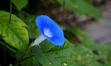 10月25号开始将会转运，运势好到停不下来，钱财连连赚的四属相