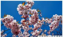 十二生肖中，3个生肖，10月底遇贵人撞财富，赚的金银丰厚！