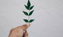 【水逆来袭】双十一购买需谨慎，特别是这几个星座