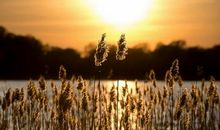 对爱情很霸道的星座，旧爱难忘，新欢离不开！