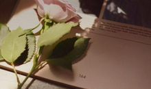 马住！2019年12生肖的爱情忠告