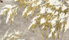 竹在风水中有着重要的一席之地