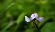 11月运势逆转，接二连三降临意外之喜，四属相鸿运当头，赚钱多多