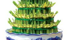 花卉植物的风水布局