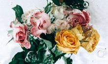 你是否需要换一种方式去爱？