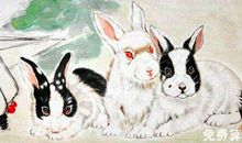 1963年属什么生肖，1963出生的人是什么命