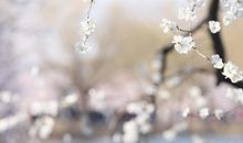 水逆太衰？测测未来三个月你哪方面能转运