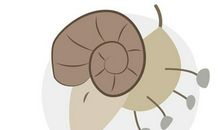 人品好、眼光赞，活该有钱的3星座