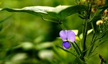 11月大富大贵财运到，事业顺风顺水，赚正财，发横财的四属相