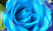 2020年抓住机遇赚大钱的生肖，收入甚高，财富满溢，财源广进