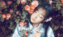 好运随风来，日子欣欣向荣的生肖