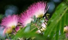 11月足踏黄金盆，财运大丰收的生肖，得财得权，生活令人羡慕