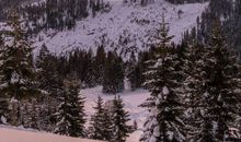 缺点很多，却始终让人喜欢的星座