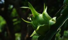 未来两年横财运最旺最强，钞票滚滚来，多到数不清，四属相必暴富