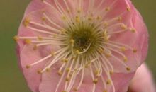 10月底财运转旺，金山银山往家搬，从此步入有钱人行列的生肖