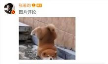 测你的性格是招人喜欢的类型吗？