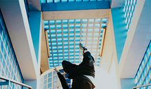 遇上这个血型，大概会被磨成蛇精病