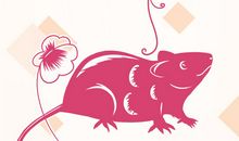 十二生肖运气大解析，这个秋天，看看哪个生肖收获最多