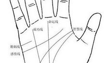 手掌纹应该如何看？好的掌纹有什么特点