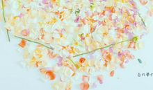 让老夫测测，你最近会有什么好事？