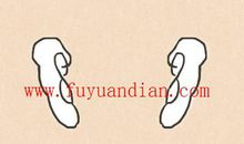 鸡嘴耳的女性在生活当中非常固执是真的吗