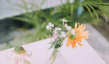 警报！未来三月可能会破财的血型