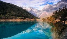 1982年属狗2019年贵人是什么生肖？1982年属狗2019年运势？(图文)