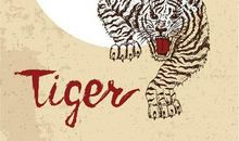 1962年属虎的人2019年运势详解