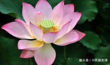 “狐狸精”转世的三生肖女，五官精致身材高挑，让男人为之着迷